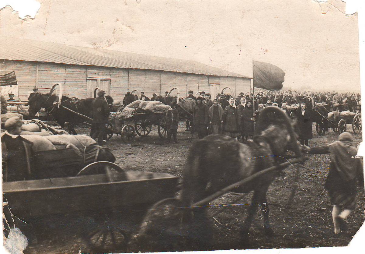 ТКМ КП 167_3.png