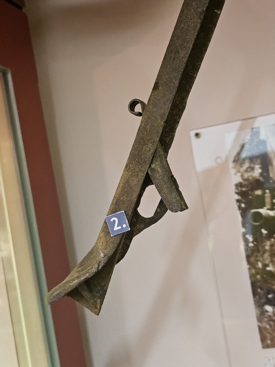 15 - 20251015_171214.jpg