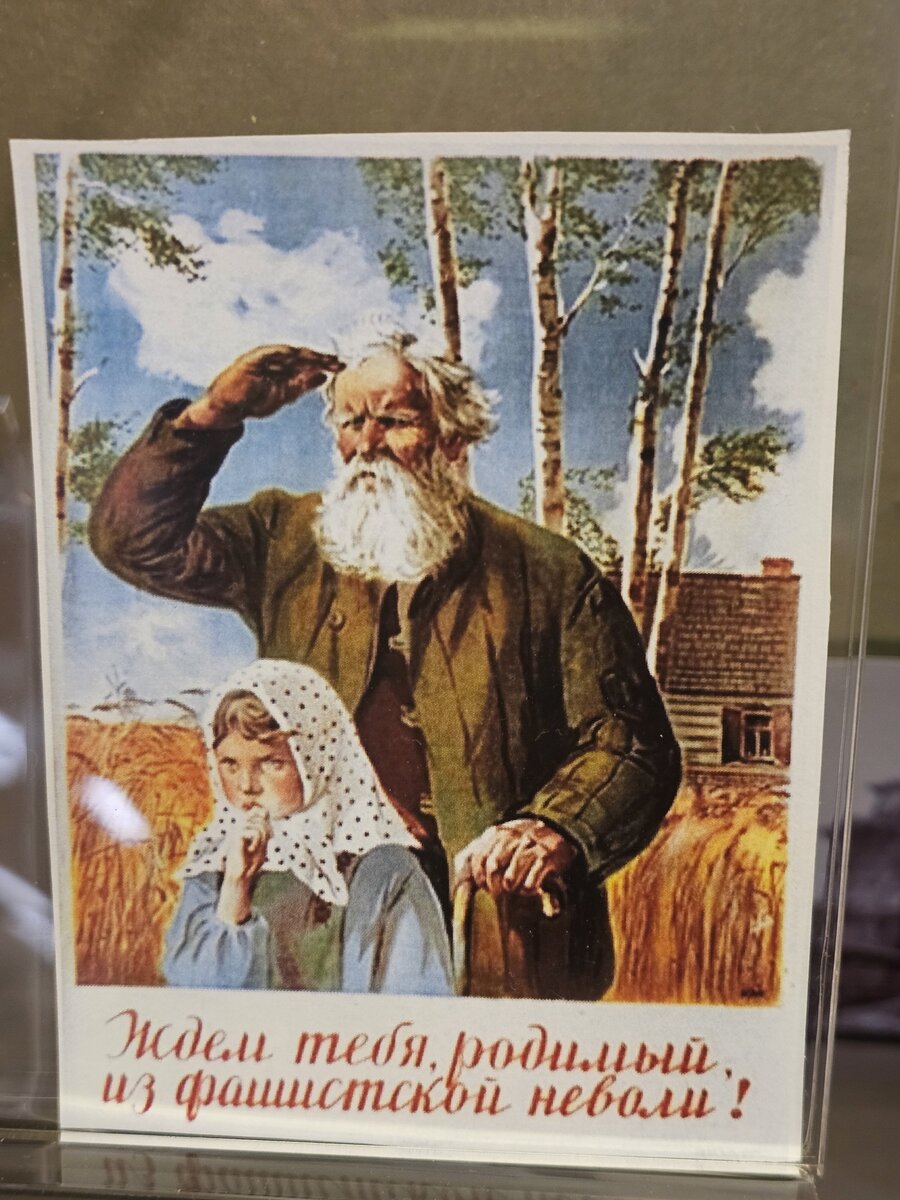 50 - 20251015_171050.jpg