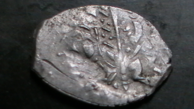 IMGA0527.JPG