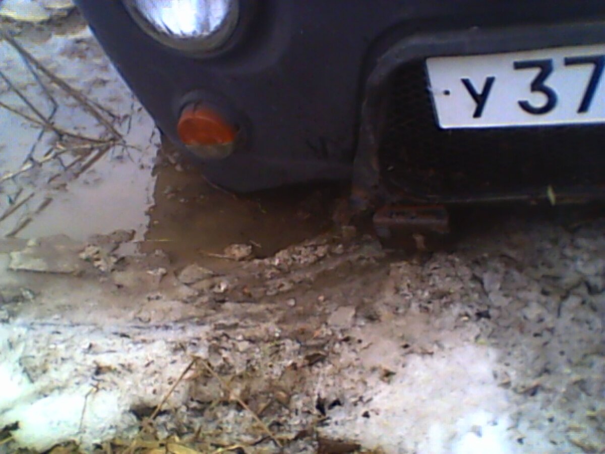 IMG00031.jpg