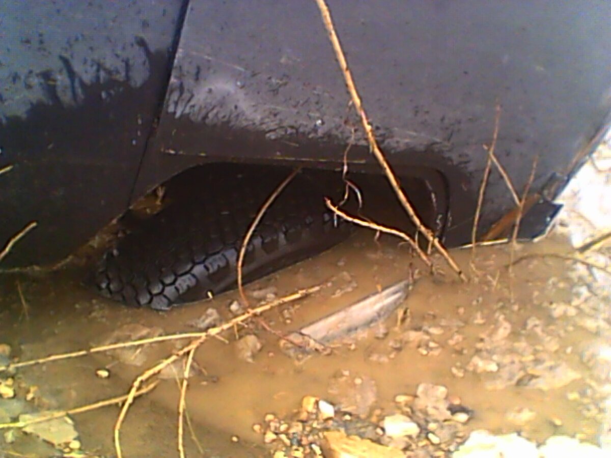 IMG00029.jpg