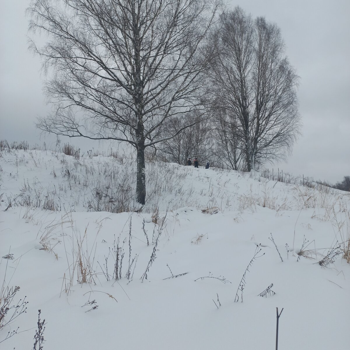 20260103_134304.jpg