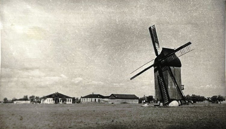 6610357.jpg