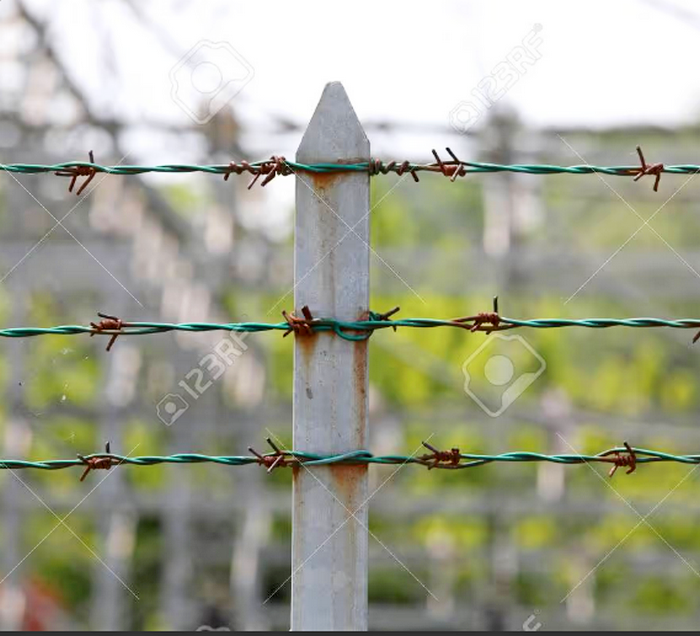 Opera Снимок_2026-02-16_145438_es.123rf.com.png