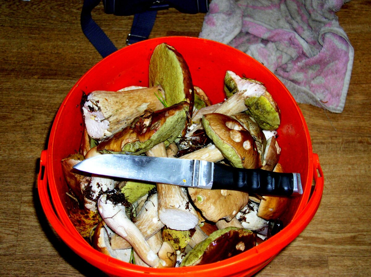 18.jpg