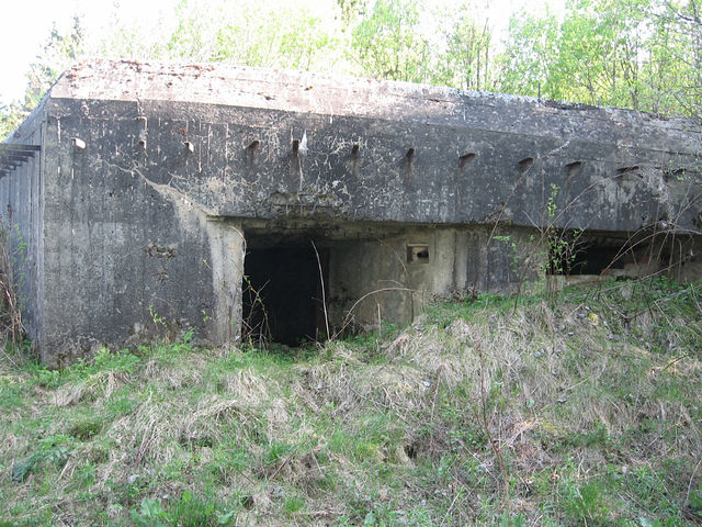 getImage (46).jpg