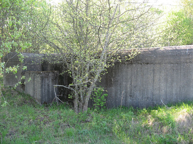 getImage (47).jpg