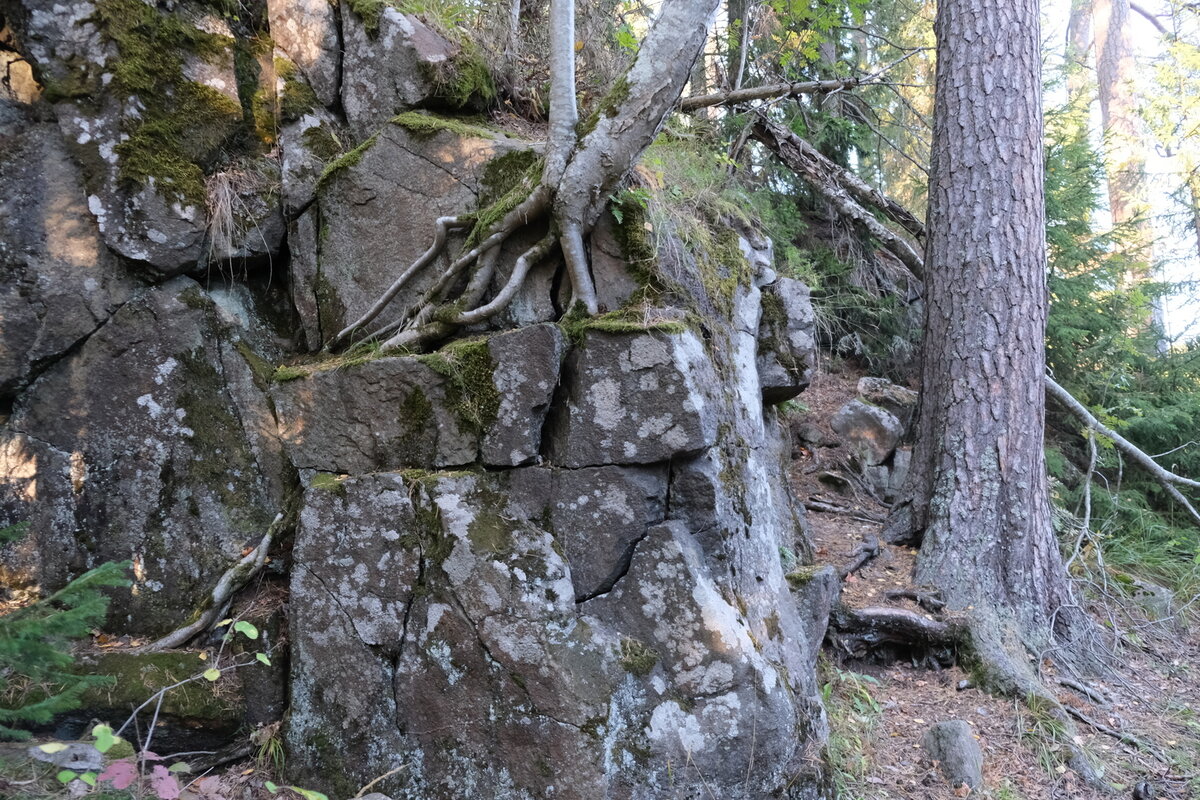 DSCF3066.JPG