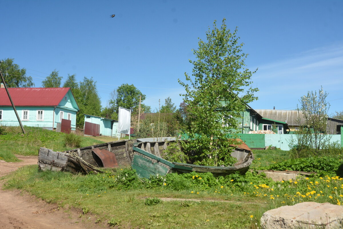 SGS_8489.JPG
