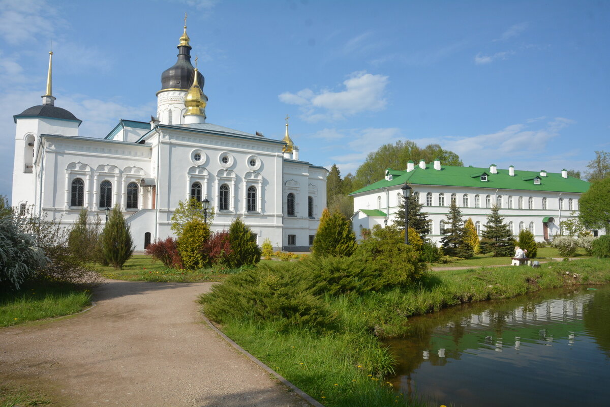 SGS_8649.JPG