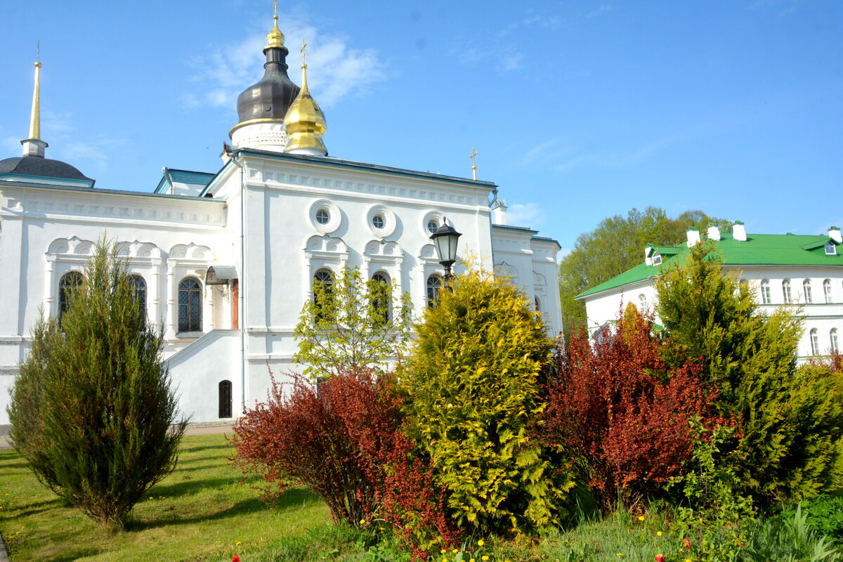 SGS_8689.JPG