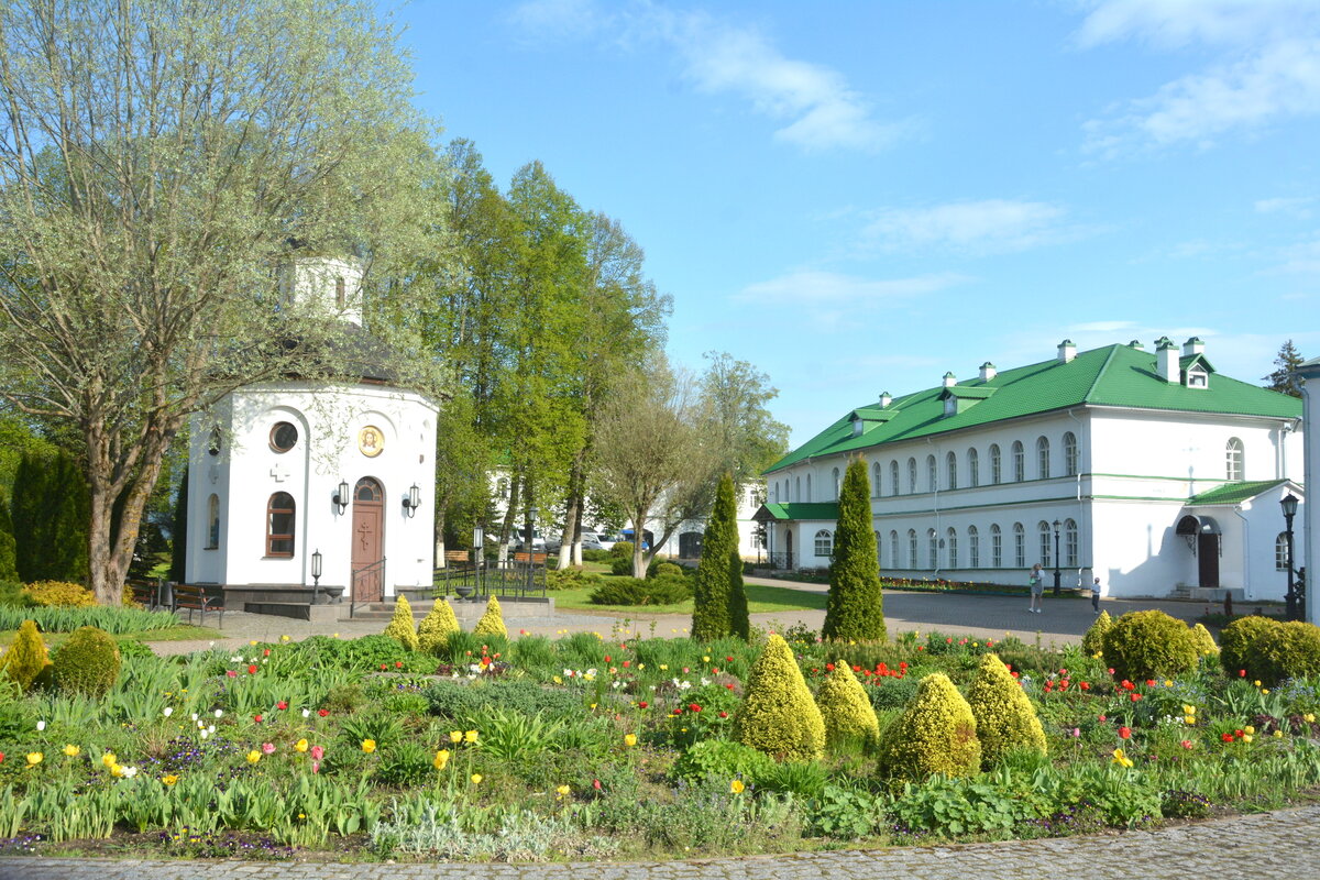 SGS_8715.JPG