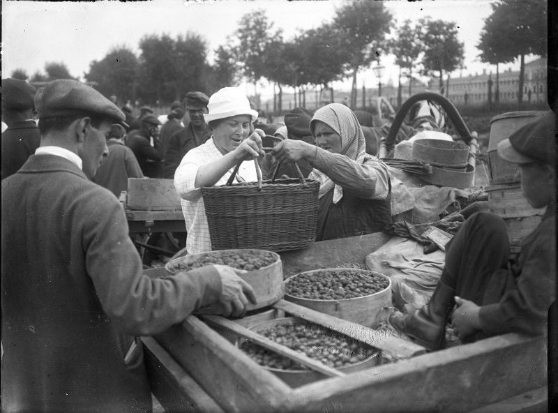 8480244.jpg