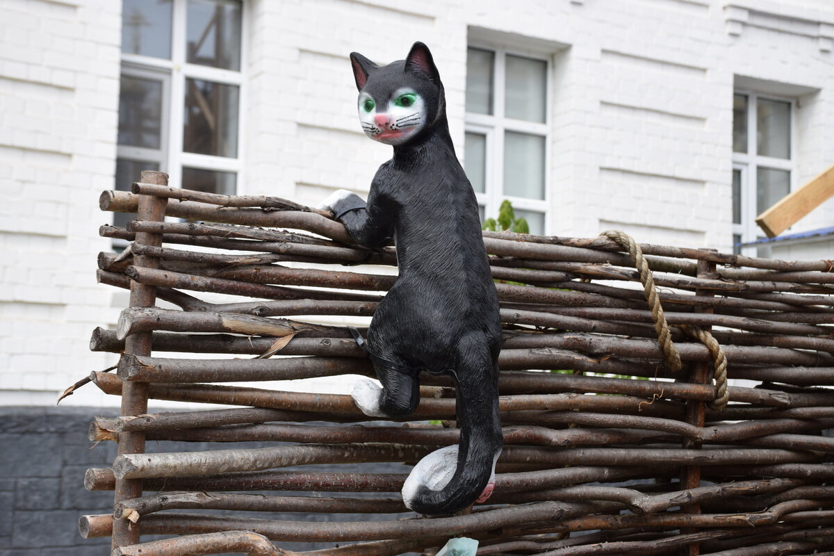 DSC_0070.JPG