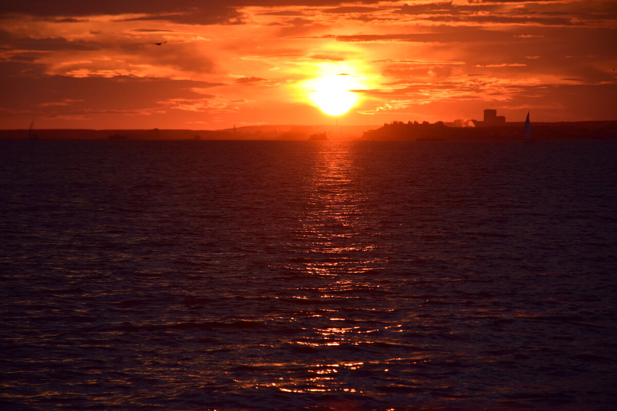 DSC_0878-001.JPG