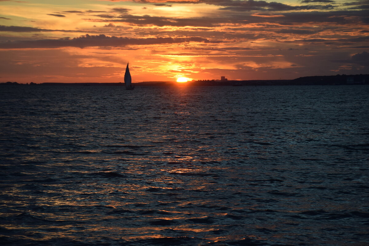 DSC_0900.JPG