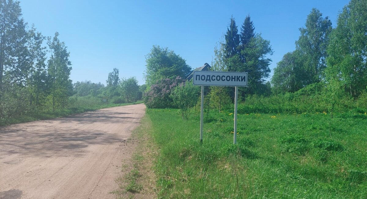 1. Подсосонки.jpg