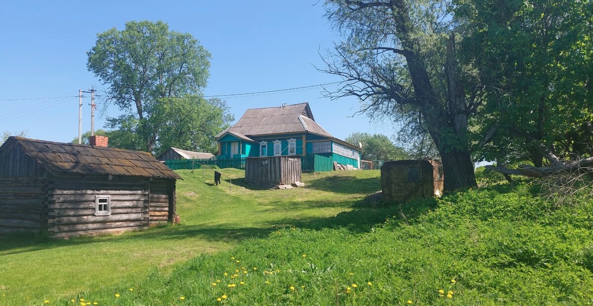 5 Подсосонки.jpg