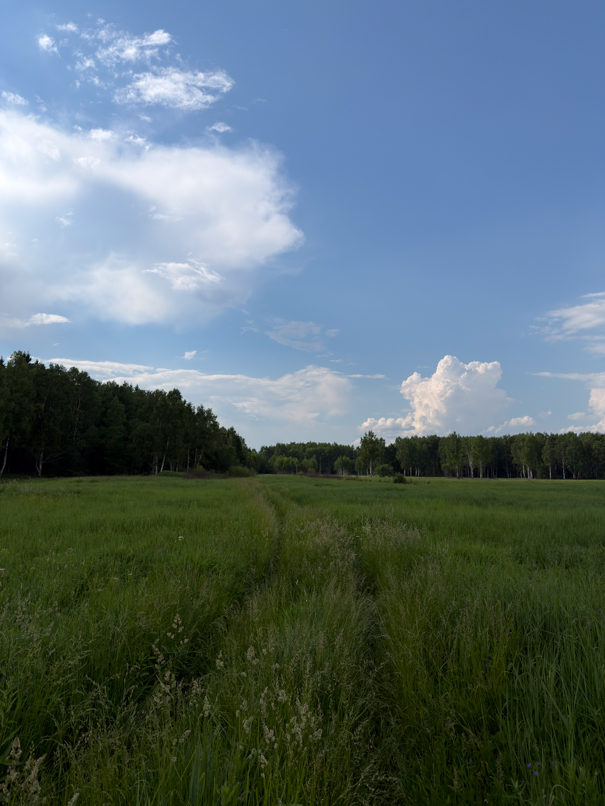 IMG_1023.jpg