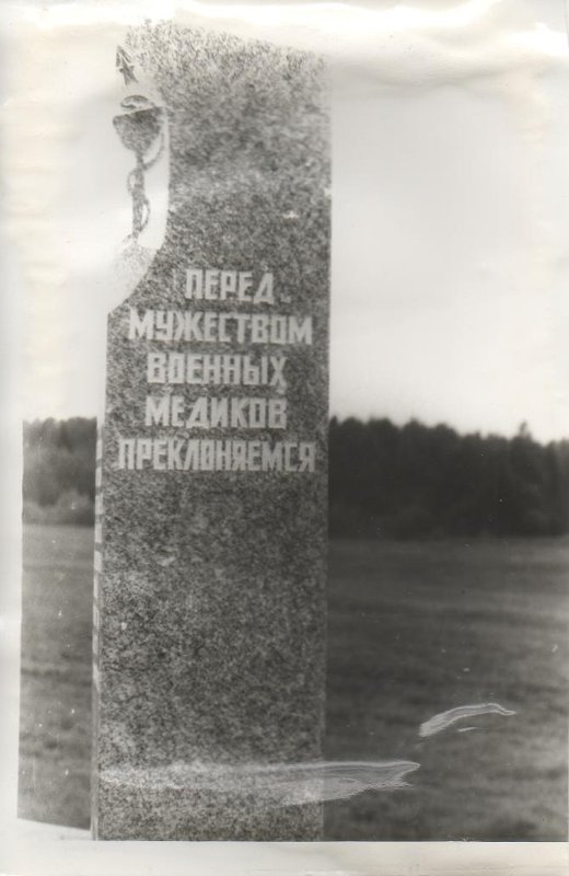 4135801.jpg
