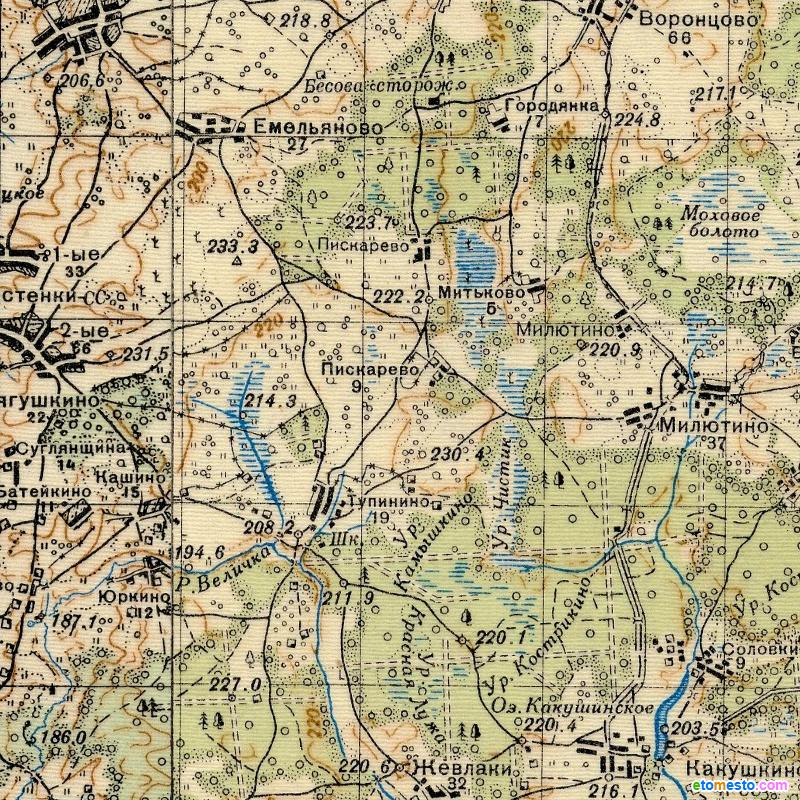 Тупичино 1941.png