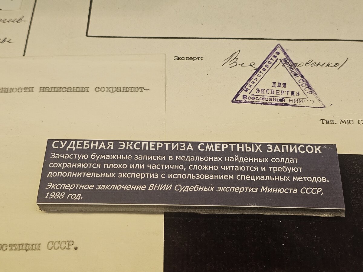 24 - 20260929_173702.jpg