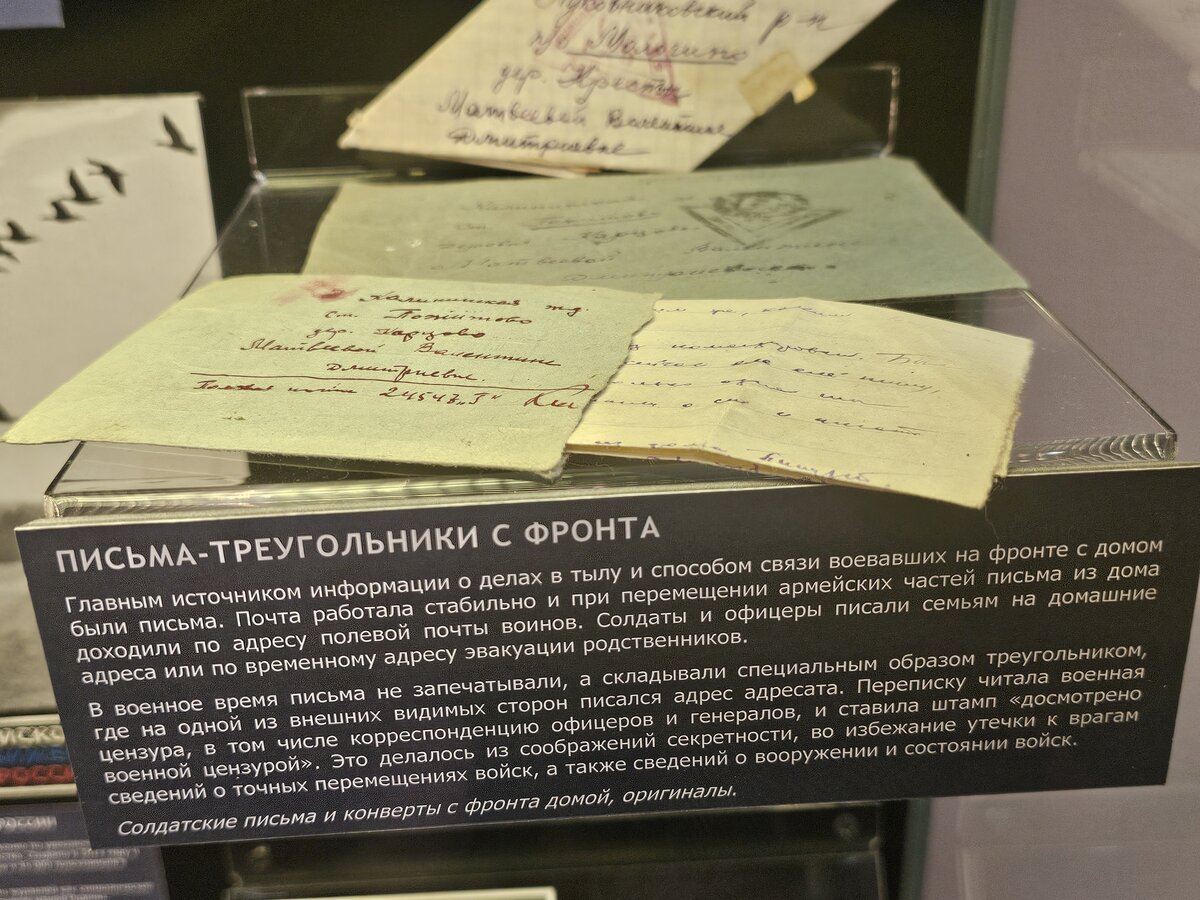 39 - 20260929_174008.jpg