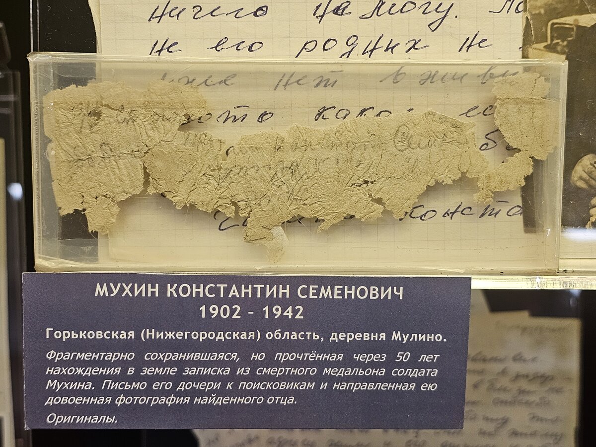 49 - 20260929_174343.jpg