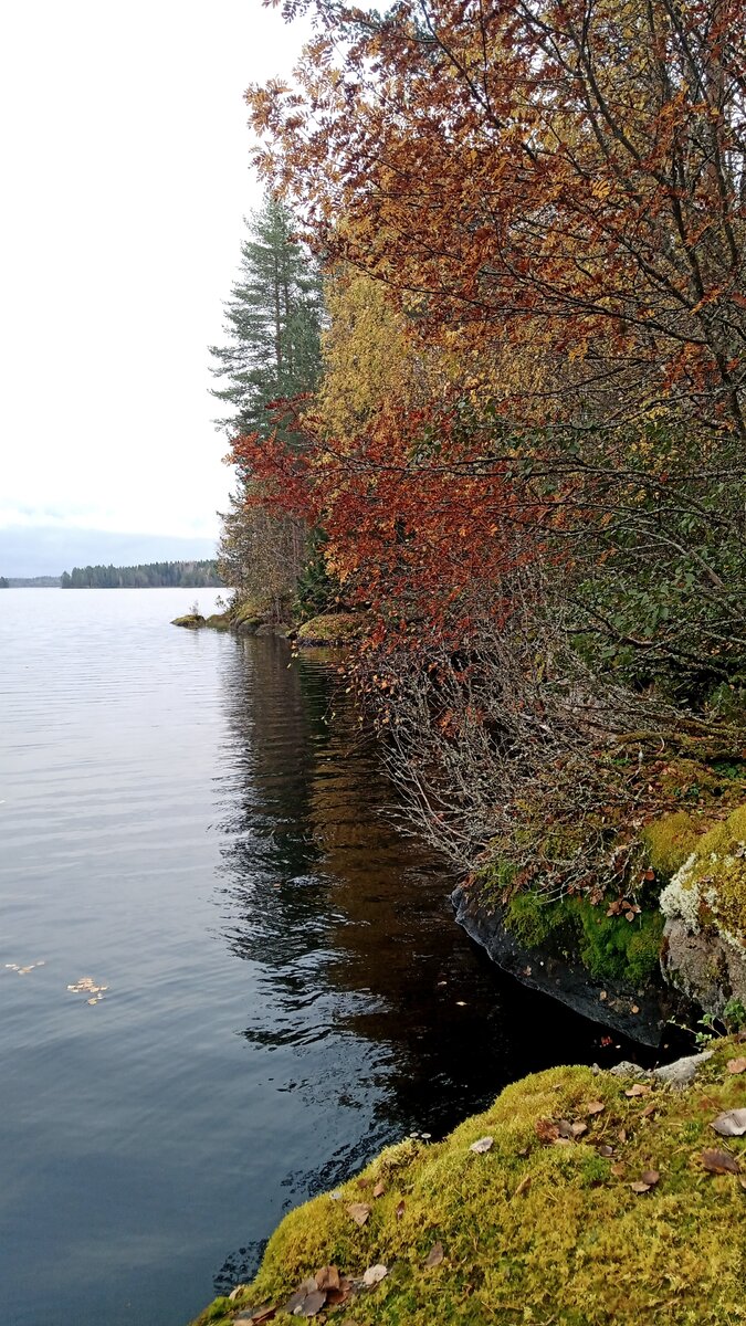 IMG_20261003_164902_343.jpg