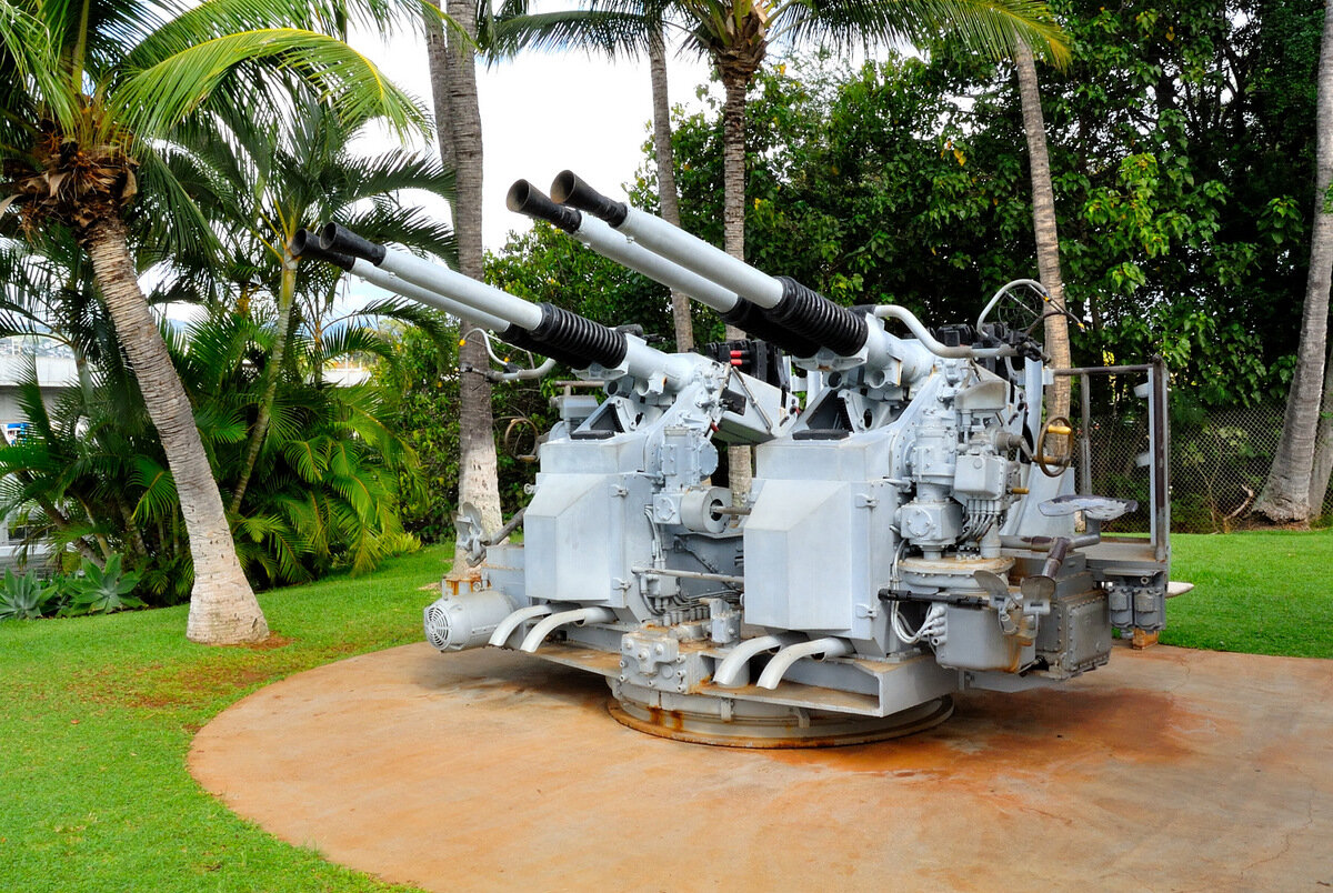 DSC_1845.JPG