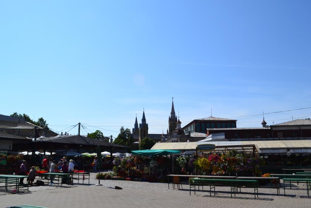 DSC_1622.JPG