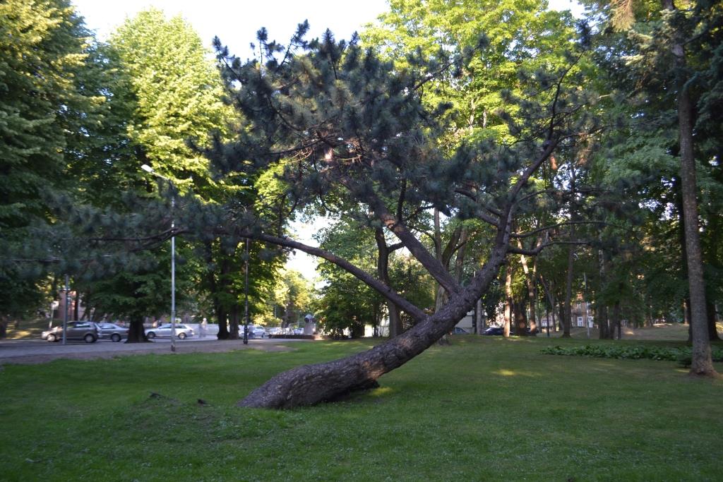 DSC_1727.JPG