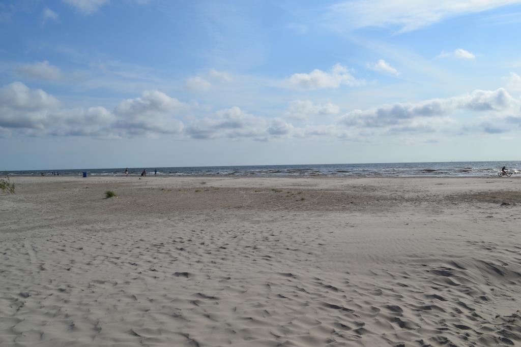 DSC_1645.JPG