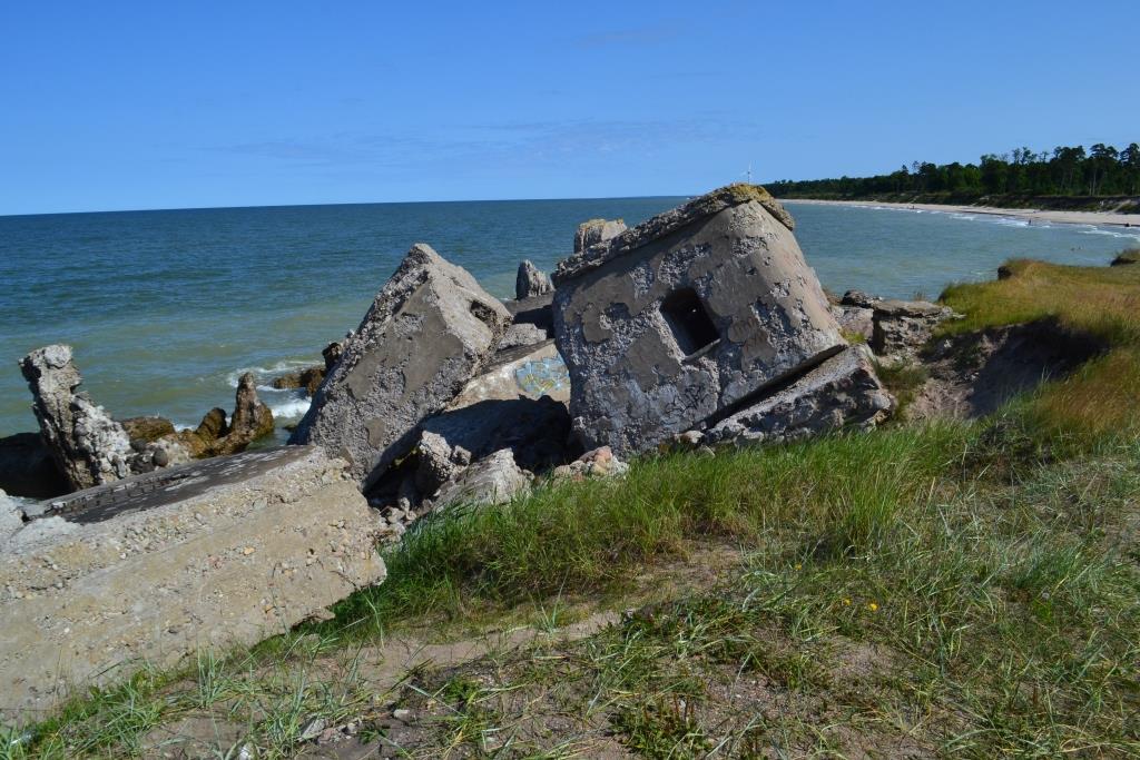 DSC_1908.JPG