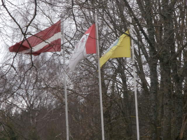 P3151007.JPG