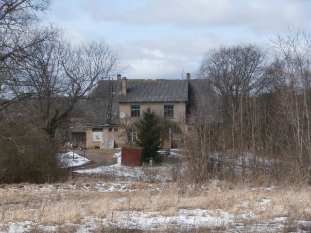 P3191031.JPG