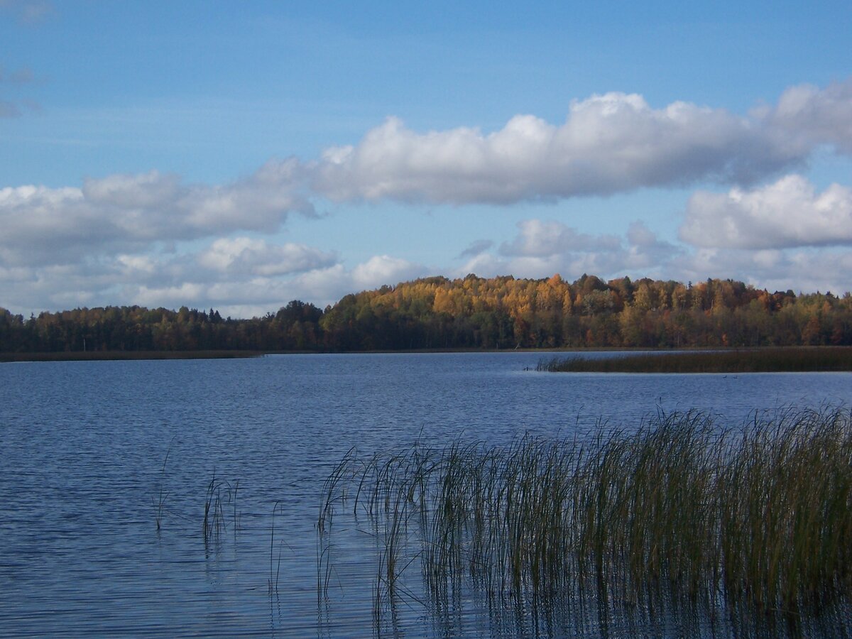 100_5411.jpg