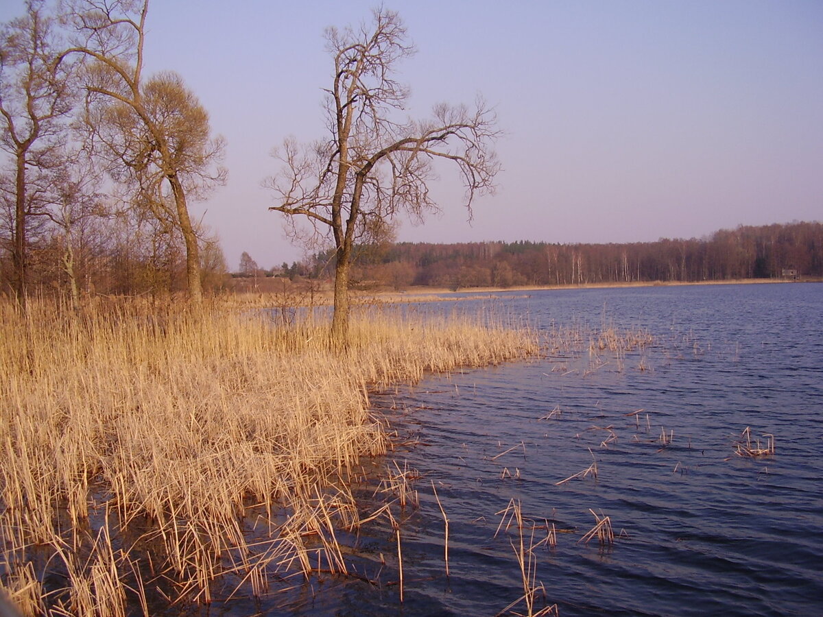 P4270075.JPG