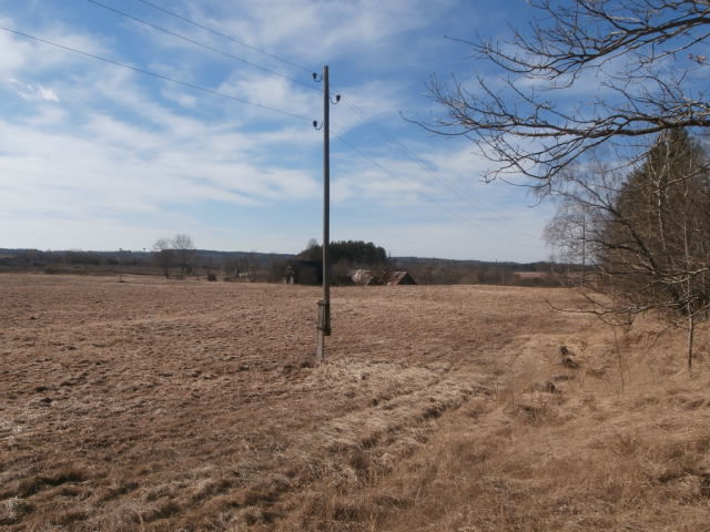 P3110956.JPG