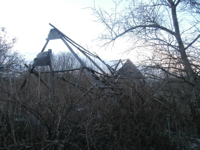 PC140155.JPG