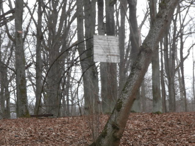 P3221134.JPG