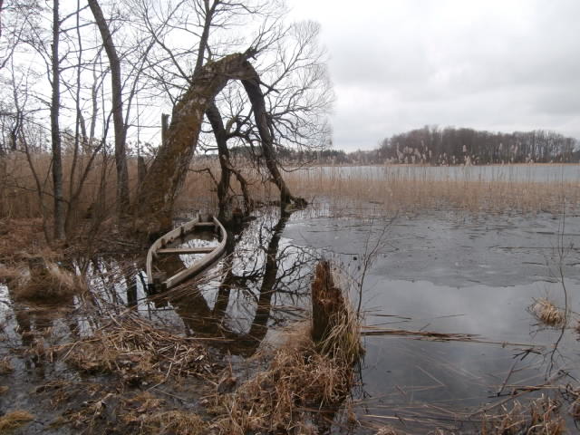 P3221154.JPG