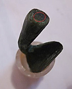 thumb.jpg