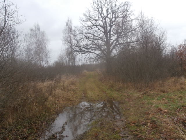 PB050798.JPG