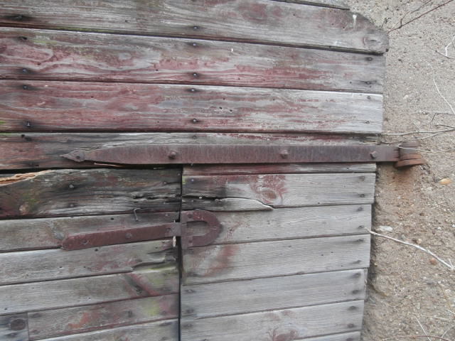 PB241029.JPG