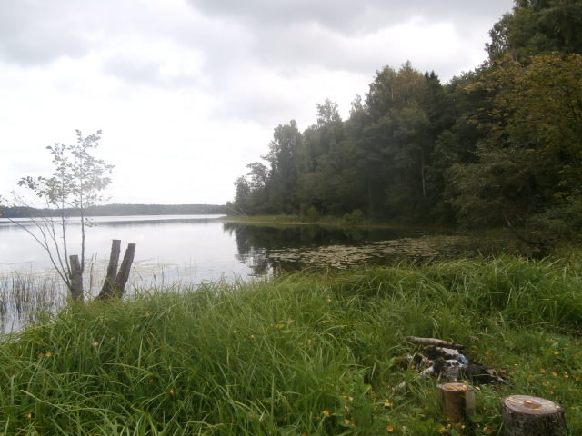 P9010314.JPG
