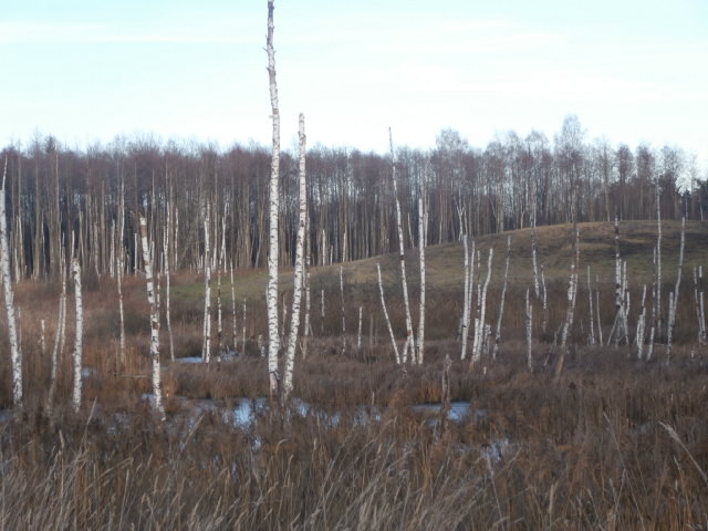 PB180916.JPG