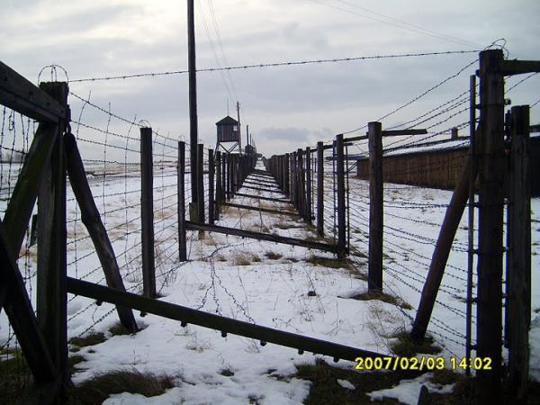 17.JPG