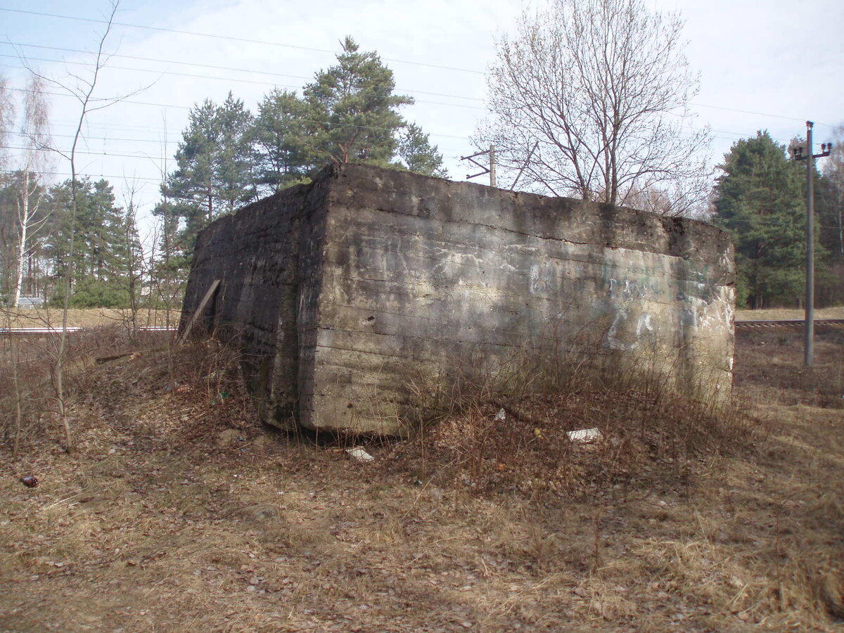 aprils 013.jpg